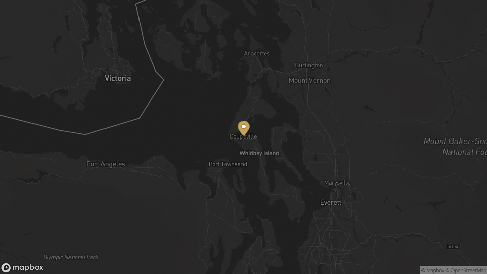 Static map overview of Island County, Washington.